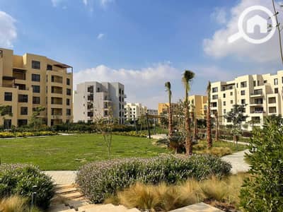 3 Bedroom Apartment for Sale in 6th of October, Giza - WhatsApp Image 2024-12-15 at 3.30. 52 PM. jpeg