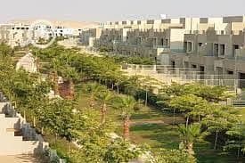 2 بالم هيلز قطامية 3. jpg