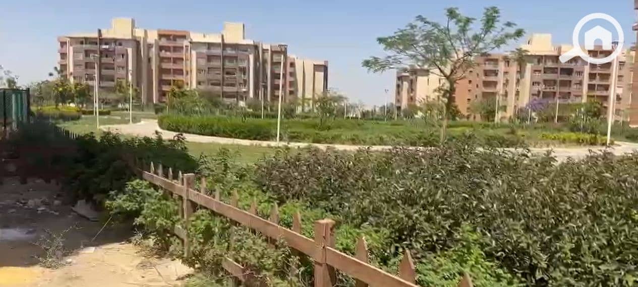 7 wesal. PNG