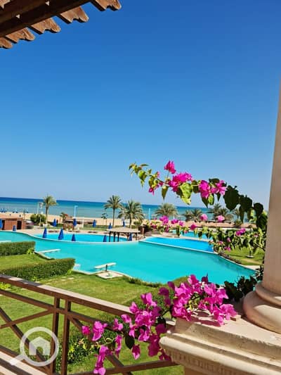 3 Bedroom Chalet for Sale in Ain Sukhna, Suez - 450943931_801950535419882_6030893001409819581_n. jpg