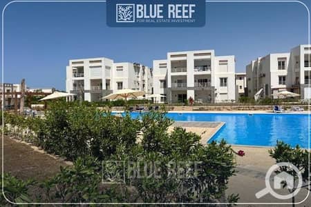 2 Bedroom Chalet for Sale in North Coast, Matruh - WhatsApp Image 2025-05-05 at 12.26. 28 PM. jpeg