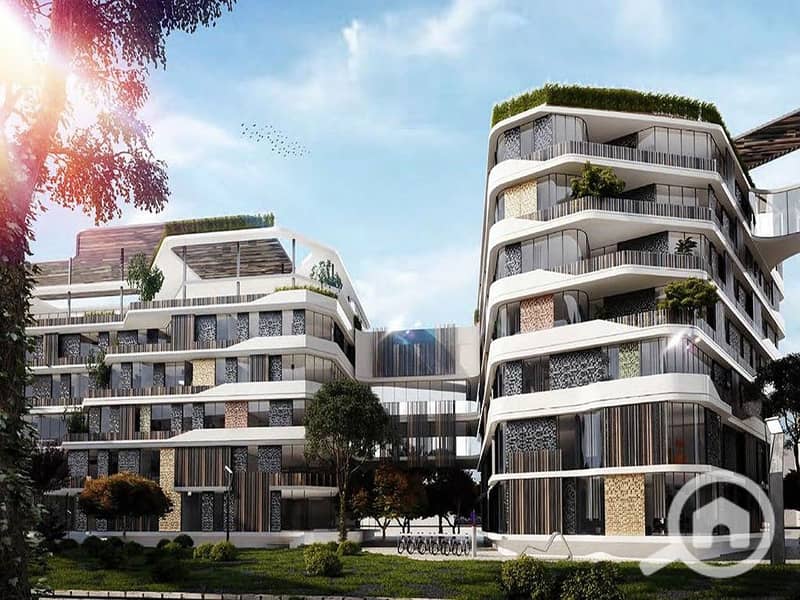7 bloom fields project. jpg