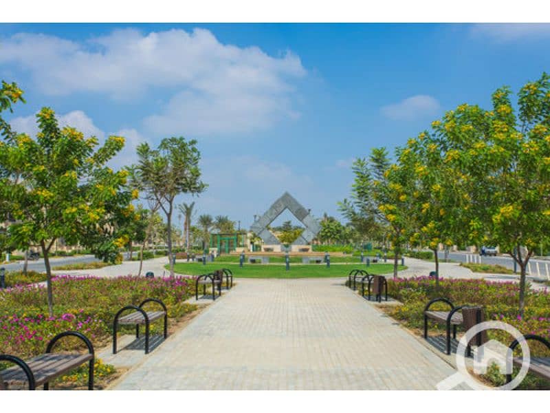 7 New Giza 10. jpg