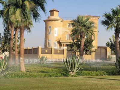 11 Bedroom Other Residential for Sale in Sheikh Zayed, Giza - WhatsApp Image 2025-05-05 at 8.11. 20 PM. jpeg