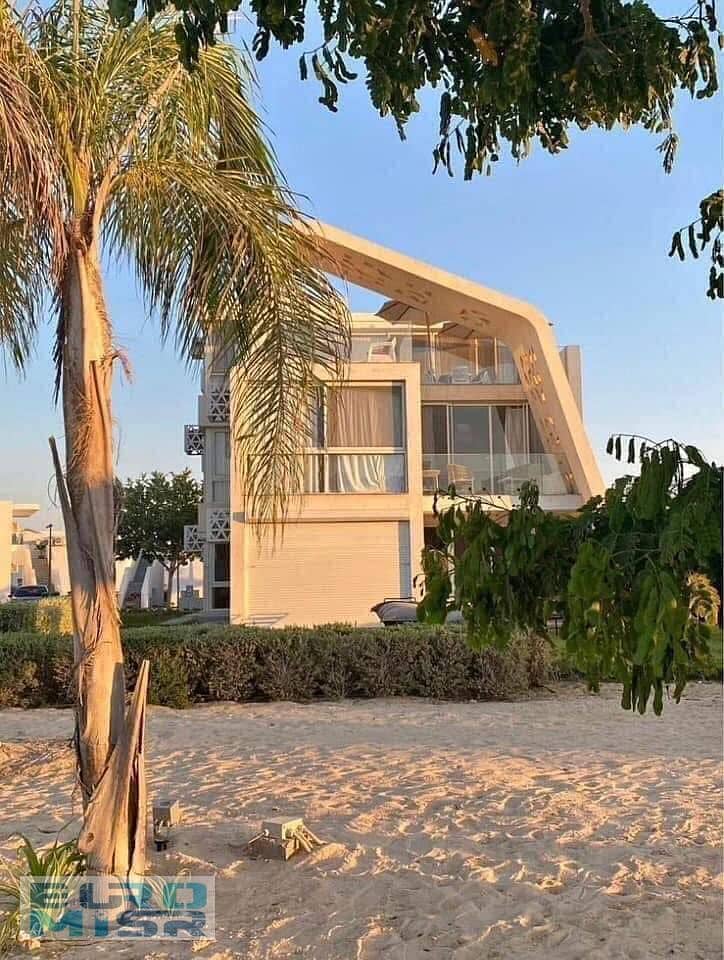 57 481693146_3987630651515506_7853791059977725041_n. jpg