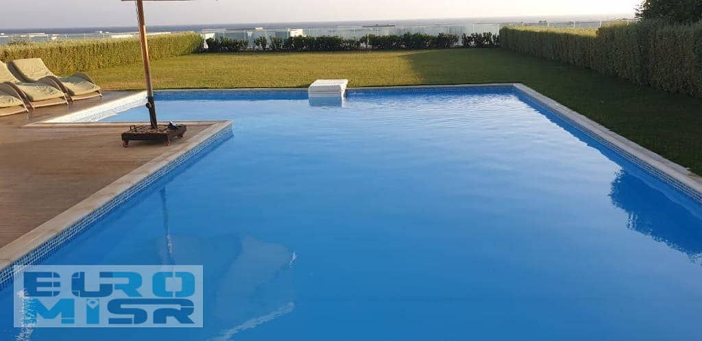 43 449209967_1851856561989438_4602248614752962611_n. jpg