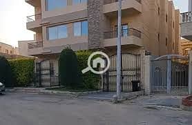 3 البنفسج 3. jpg