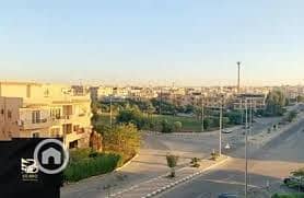 4 البنفسج 2. jpg
