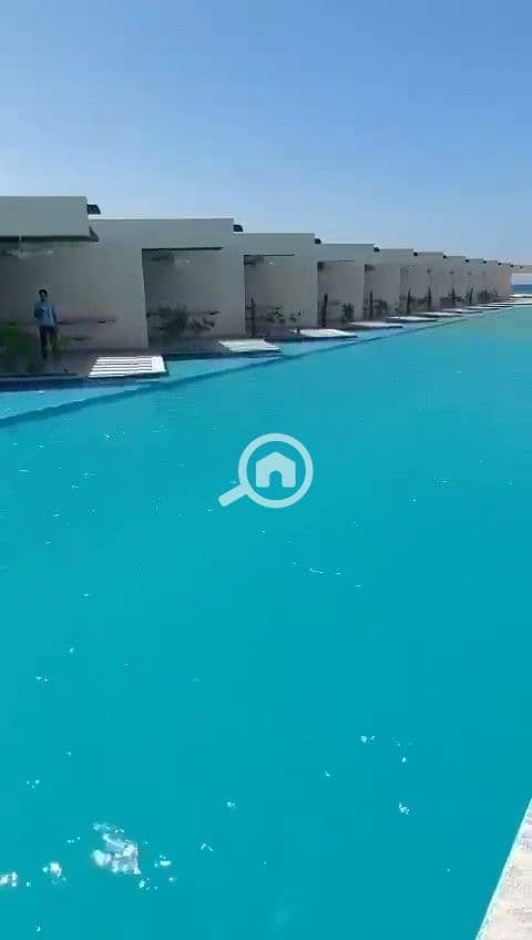 2 65. jpg