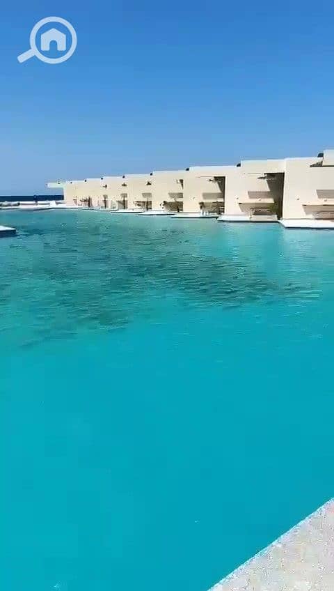 11 ثثص. jpg