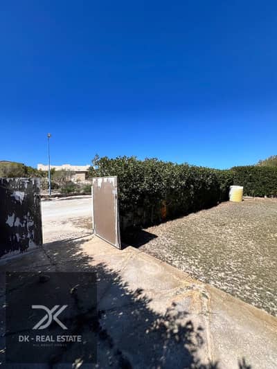 3 Bedroom Villa for Sale in North Coast, Matruh - WhatsApp Image 2025-04-22 at 1.35. 17 PM (1). jpeg