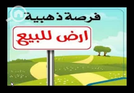 Residential Land for Sale in Nasr City, Cairo - Ashampoo_Snap_2025.04. 28_17h06m13s_032_. png