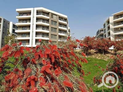 فلیٹ 2 غرفة نوم للبيع في القاهرة الجديدة، القاهرة - 473216371_1133469338178259_4256600583278713065_n. jpg