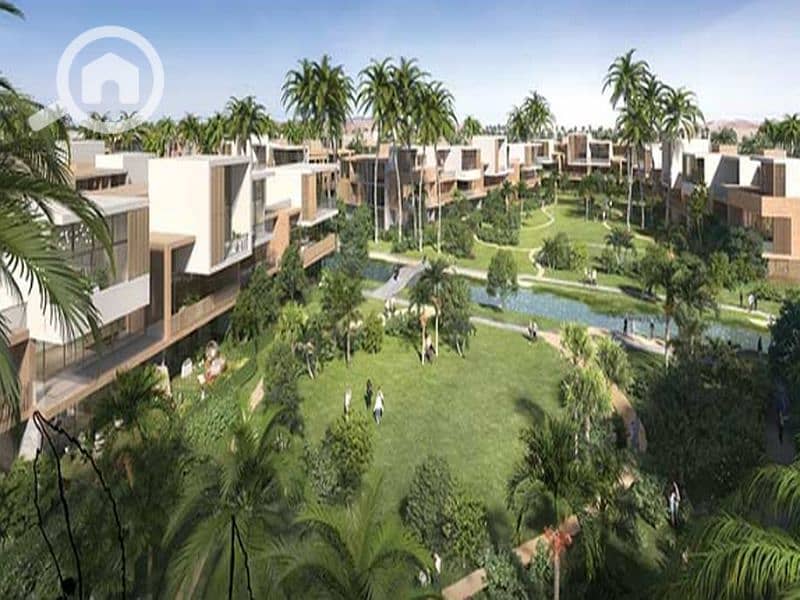 3 Screenshot_13-6-2024_1329_ipgegypt. com_800x600. jpg