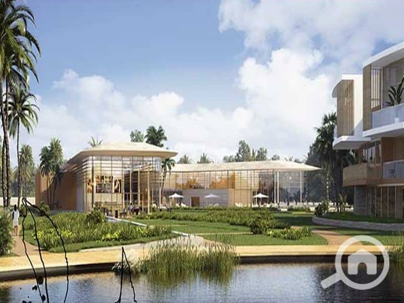 5 Screenshot_13-6-2024_13230_ipgegypt. com_800x600. jpg