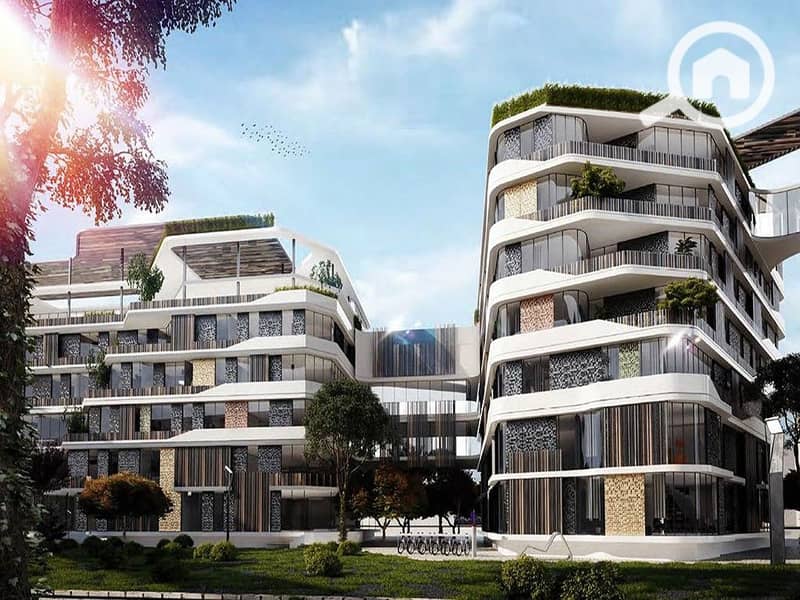 7 bloom fields project. jpg