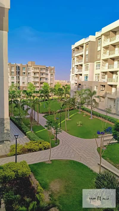 3 Bedroom Apartment for Sale in Madinaty, Cairo - صورة واتساب بتاريخ 1446-11-01 في 15.22. 09_6b9010a7. jpg