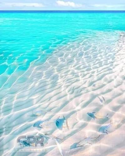 شاليه 3 غرف نوم للبيع في الساحل الشمالي، مطروح - 487485929_4020595884875779_6424178833415824945_n. jpg