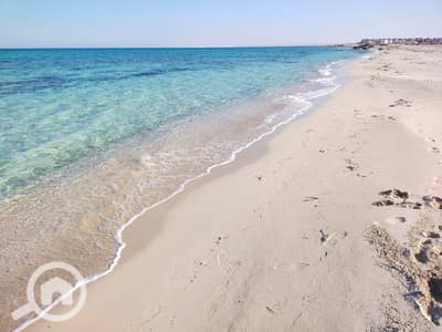 4 Bedroom Twin House for Sale in North Coast, Matruh - WhatsApp Image 2025-05-08 at 14.07. 00. jpeg
