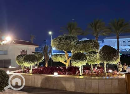 فلیٹ 3 غرف نوم للبيع في القاهرة الجديدة، القاهرة - 485363741_4006576016255616_1903457681251528946_n. jpg