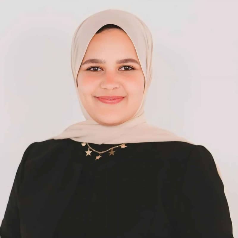 alaa sayed hussien