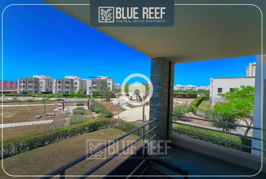 Bluereef7. jpg