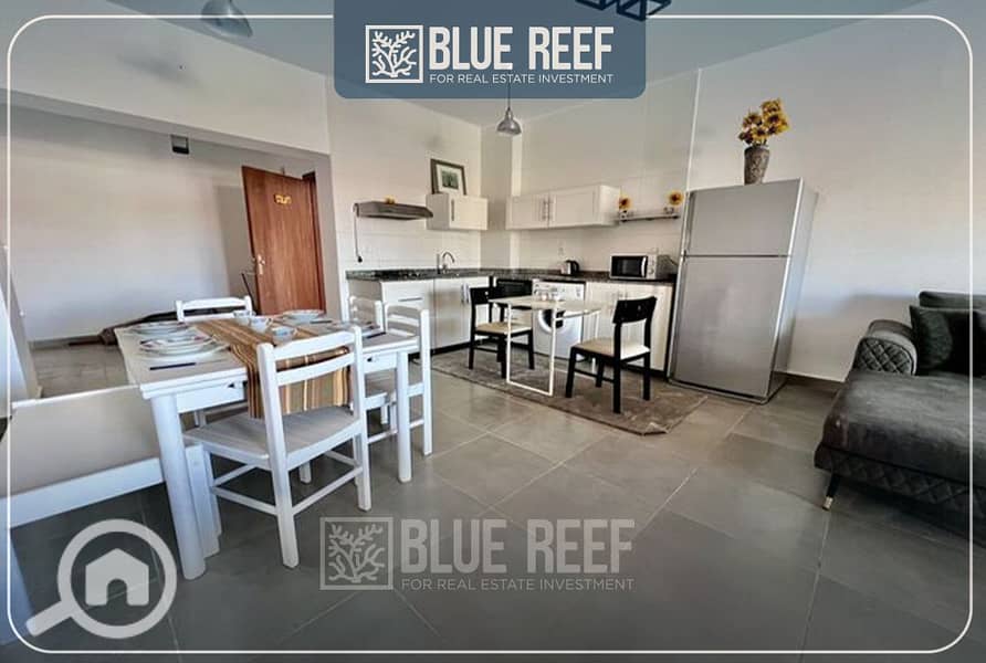 4 Bluereef6. jpg