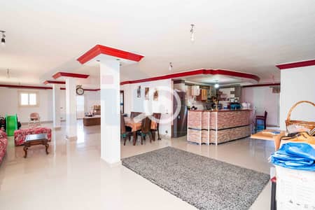 7 Bedroom Apartment for Sale in Sporting, Alexandria - DSC06239. jpg