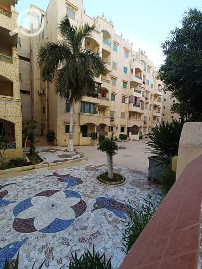 2 Bedroom Flat for Sale in Nakheel, Alexandria - شقه فى اسكندرية شاطئ النخيل قريبه للمطاعم وحمام سباحة ميرا  السعر لؤطة