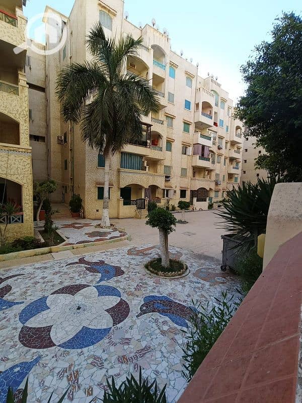 شقه فى اسكندرية شاطئ النخيل قريبه للمطاعم وحمام سباحة ميرا السعر لؤطة شقه فى اسكندرية شاطئ النخيل قريبه للمطاعم وحمام سباحة ميرا السعر لؤطة