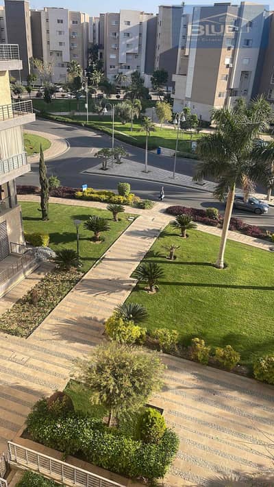 3 Bedroom Flat for Rent in Madinaty, Cairo - 9C02EC87-ED9C-40A5-A2CA-93B55562CF7A. jpg