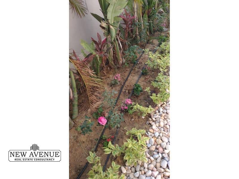 9 WhatsApp Image 2025-05-08 at 7.06. 50 PM. jpg