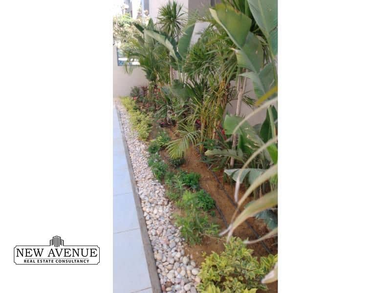 13 WhatsApp Image 2025-05-08 at 7.06. 52 PM (1). jpg