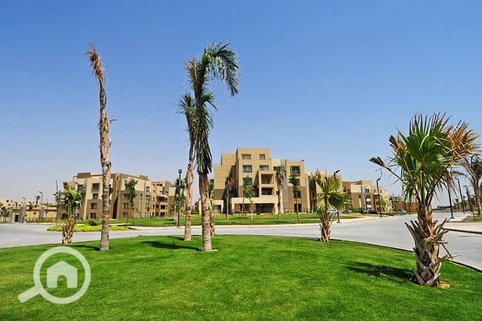 16 palm-parks3. jpg