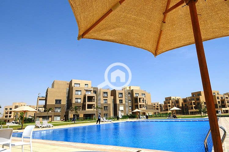 18 palm-parks-october-بالم-باركس-اكتوبر-4. jpg