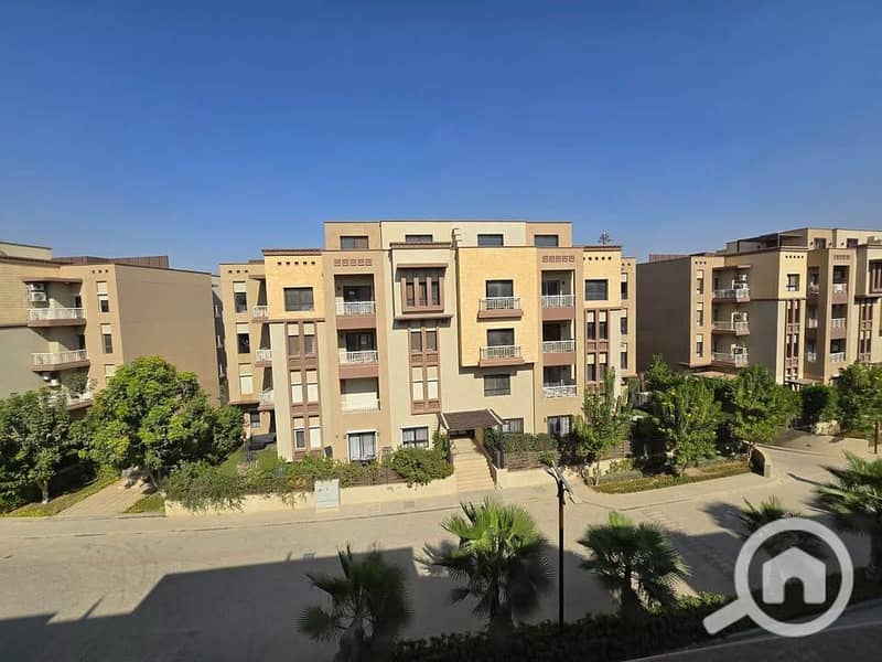 2 97a987fa-2811-4227-9072-bded0197973f. jpg