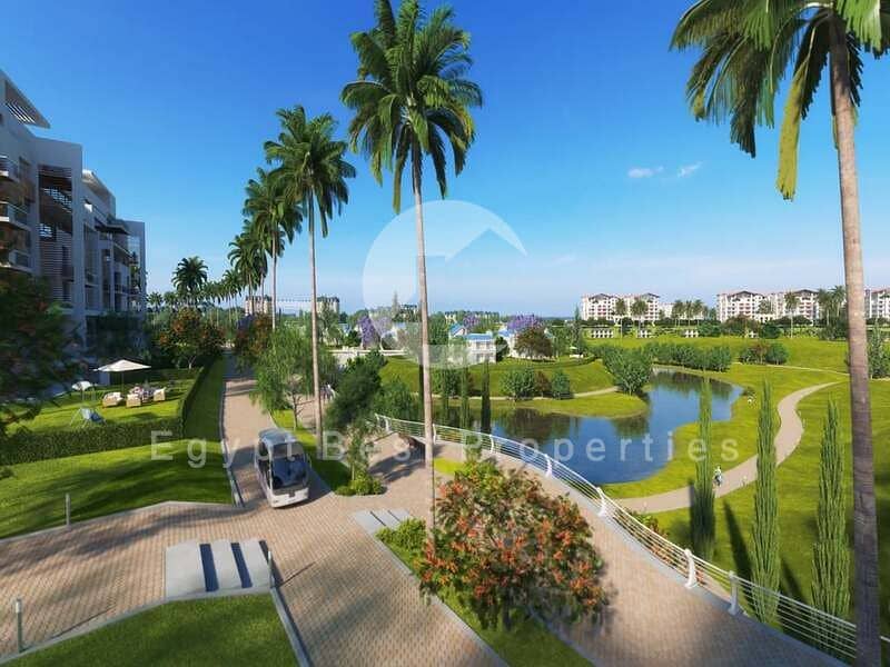 2 DjEvU7K8SbfQadOTa0Z5WOR9e3BuR1. jpg