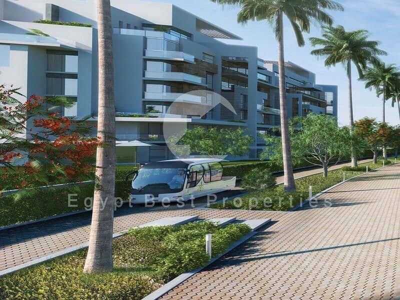 7 mountain_view5. jpg