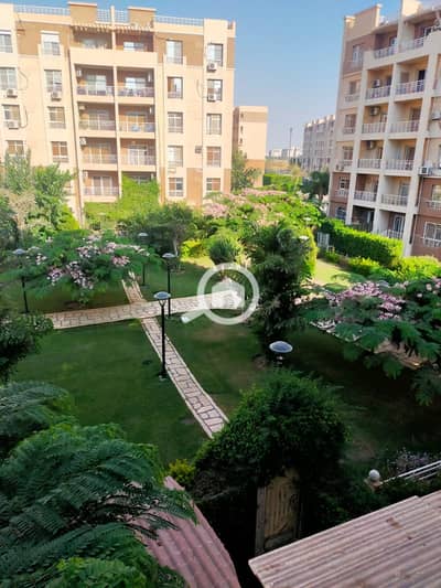 3 Bedroom Flat for Rent in Madinaty, Cairo - WhatsApp Image 2025-05-10 at 12.43. 45 PM (1). jpeg