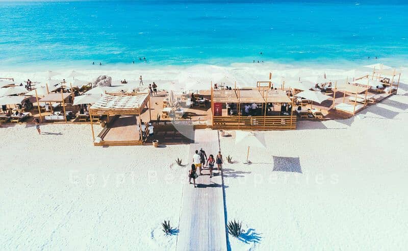 32 sea-shell-playa-2-800x492. jpg