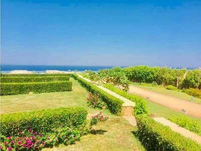 3 Bedroom Chalet for Sale in Ain Sukhna, Suez - WhatsApp Image 2025-05-11 at 11.52. 30 AM (2). jpg