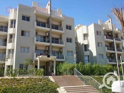 3 Bedroom Apartment for Sale in Sheikh Zayed, Giza - 236902-532fbo. jpg