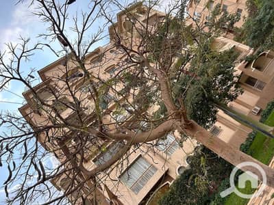 3 Bedroom Apartment for Sale in Madinaty, Cairo - WhatsApp Image 2024-09-26 at 1.55. 58 PM. jpeg