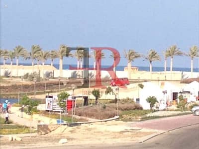 شاليه 2 غرفة نوم للايجار في الساحل الشمالي، مطروح - WhatsApp Image 2025-05-08 at 2.47. 23 PM (1)_800x600. jpg