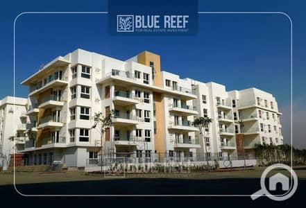 3 Bedroom Flat for Sale in New Cairo, Cairo - WhatsApp Image 2024-10-24 at 2.11. 53 PM. jpeg