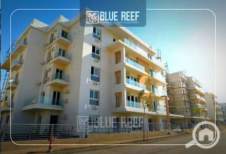 4 Bedroom Flat for Sale in New Cairo, Cairo - WhatsApp Image 2025-05-11 at 6.42. 40 PM. jpeg