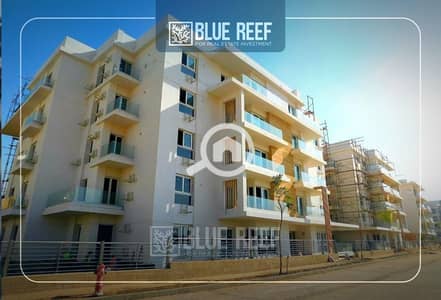 3 Bedroom Flat for Sale in New Cairo, Cairo - WhatsApp Image 2024-10-24 at 2.11. 54 PM. jpeg