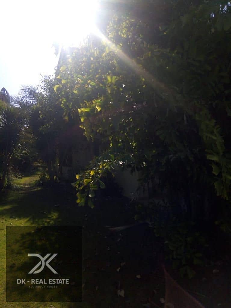 25 WhatsApp Image 2025-05-04 at 7.26. 31 AM (2). jpeg