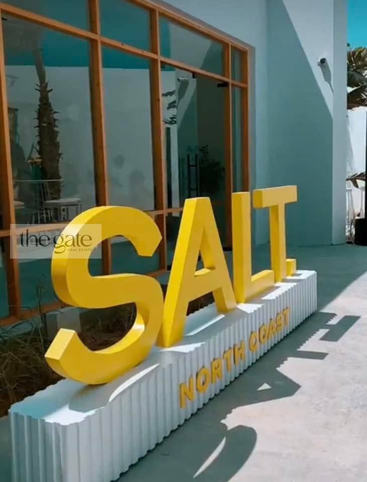 2 salt43. jpg