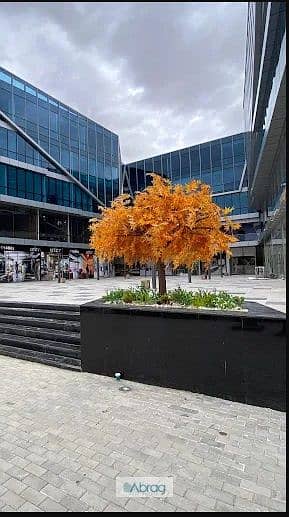 8 صسصسصس. jpg